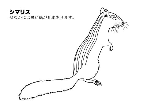 ぬりえ図鑑 動物 無料ぬりえで楽しく子供の興味をのばす 家事 育児に悩むオトン 時々オカン ブログ