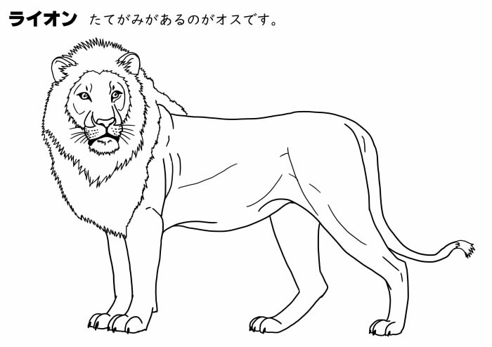 100 塗り絵 動物 Nuriemoku