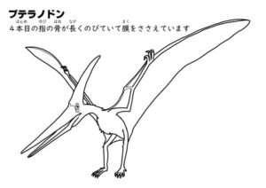 【ぬりえ図鑑】恐竜 ～無料ぬりえで楽しく子供の興味をのばす～｜家事・育児に悩むオトン（時々オカン）ブログ